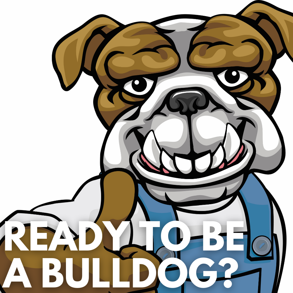 Buddy the Bulldog