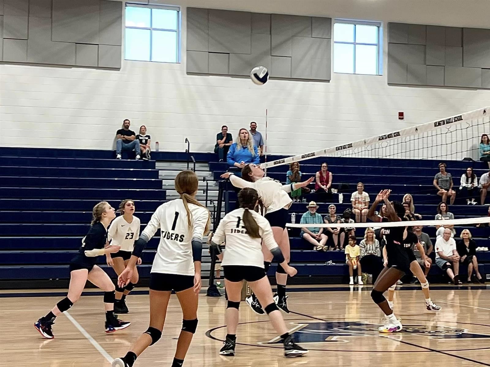  AMS girls volleyball takes aim to spike the ball
